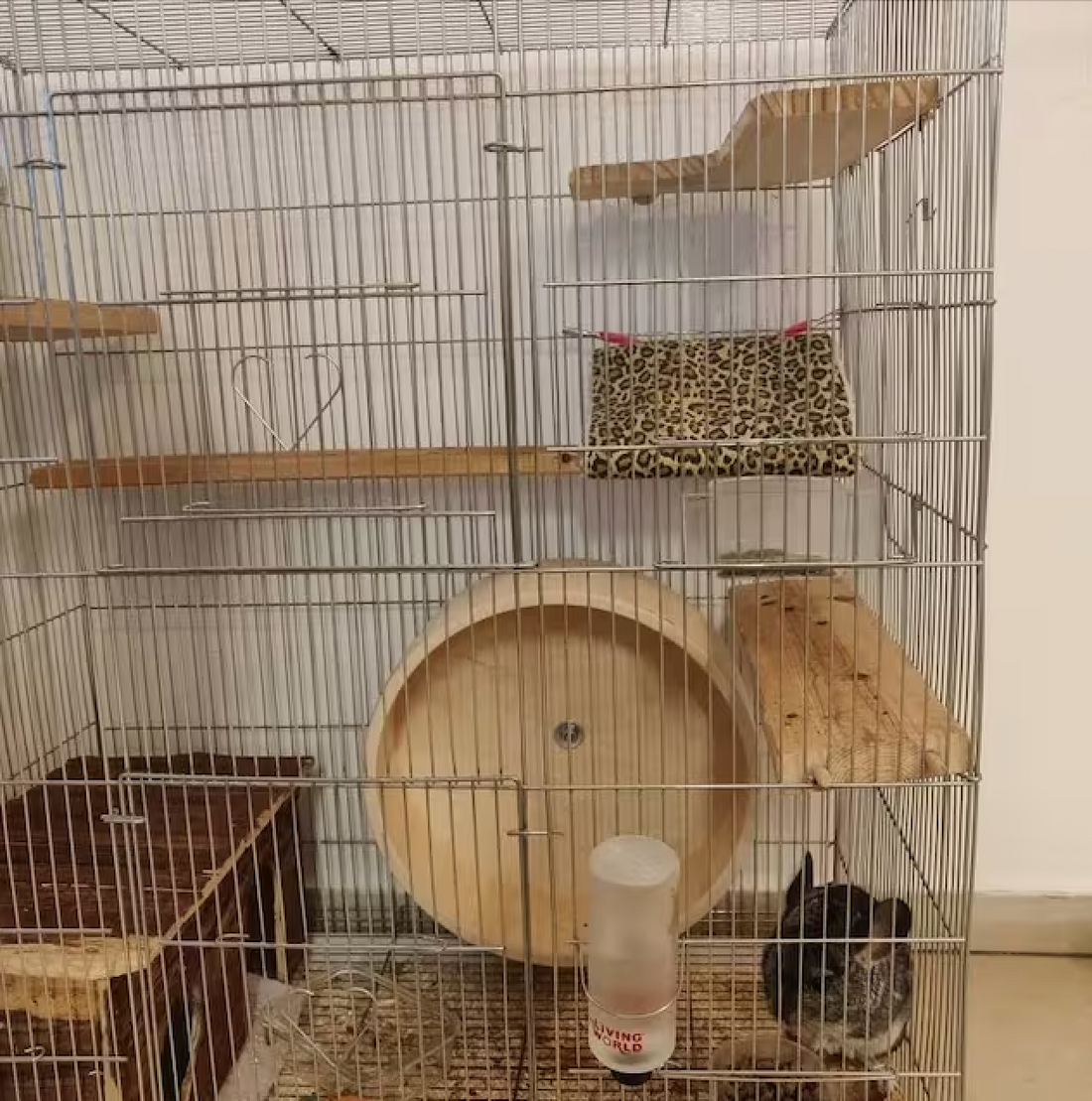 Creating a Safe and Comfortable Environment for Your Small Animal: Tips and TricksCreating a Safe and Comfortable Environment for Your Small Animal: Tips and Tricks