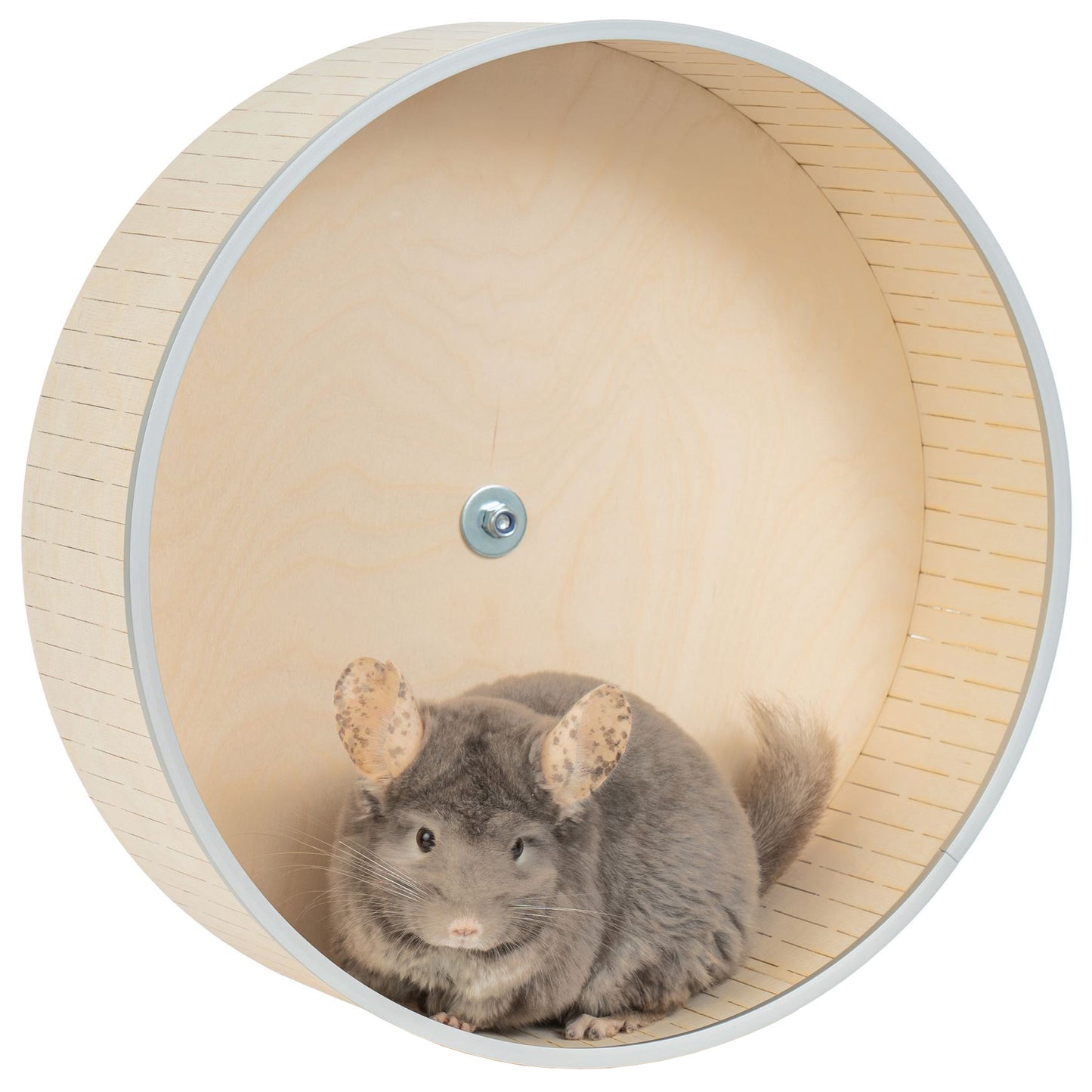 Chinchilla Wheel – Silent, Safe, and Durable Exercise Wheel for Small Pets, Hedgehogs, Squirrels, Rats, and Degus