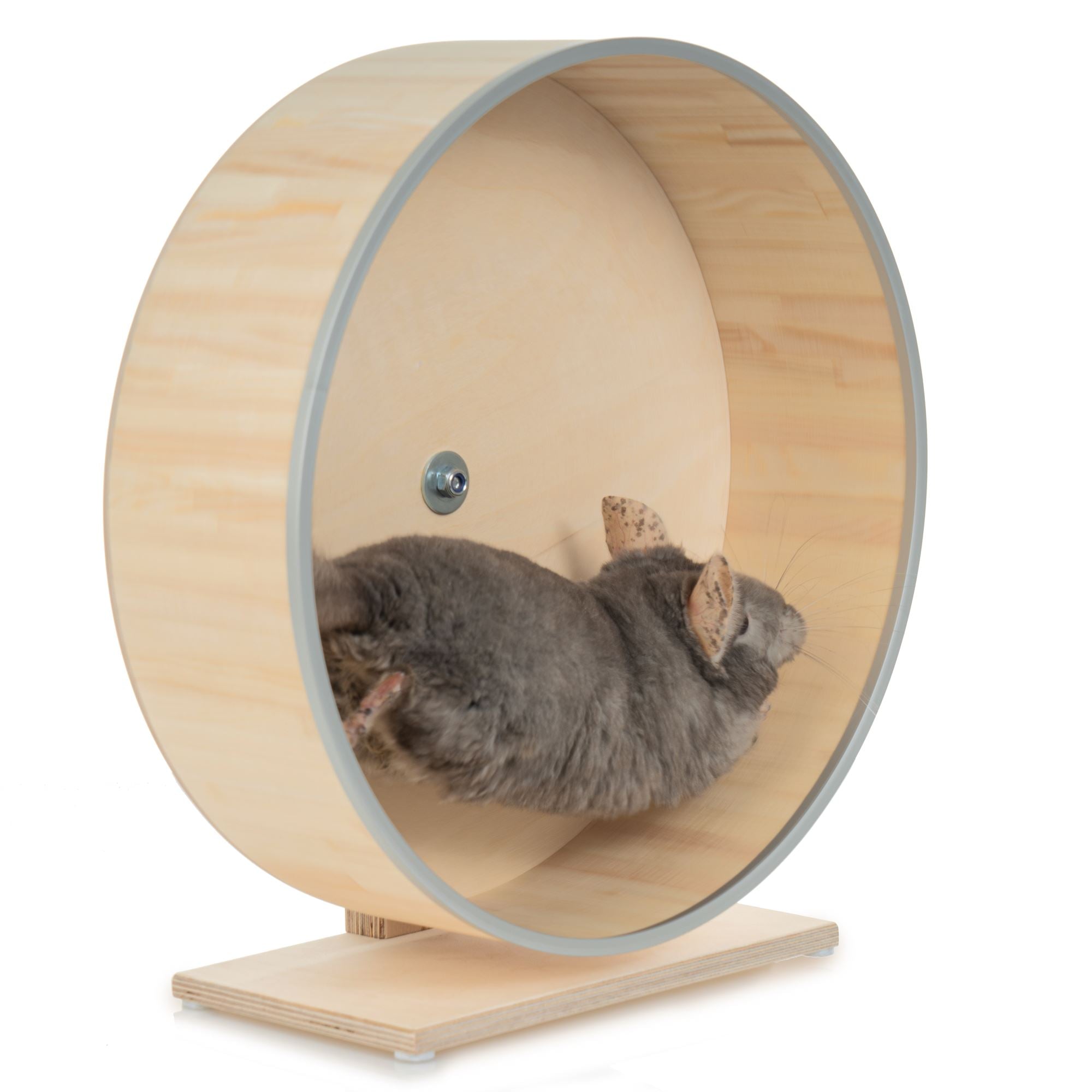 16 inch chinchilla exercise wheel best sale