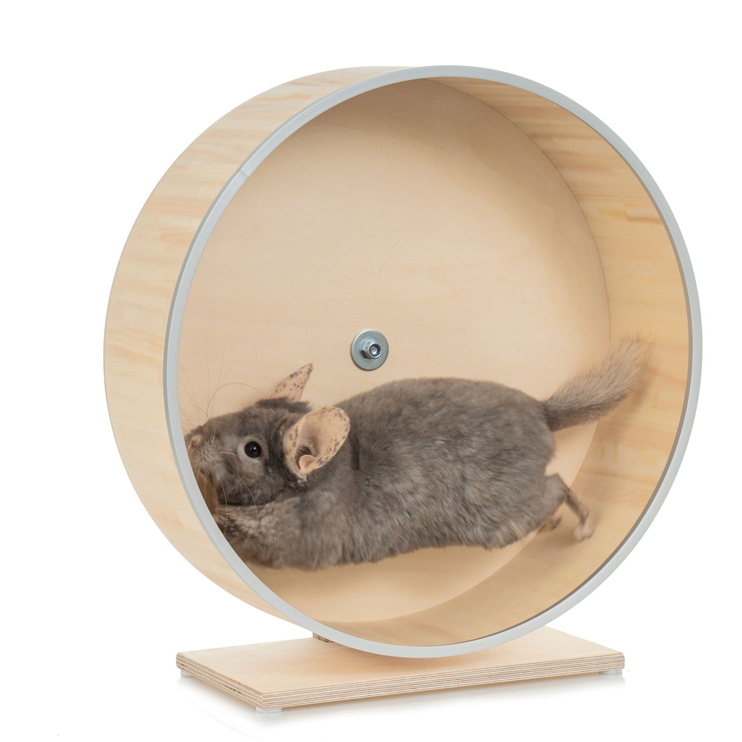 16-inch Chinchilla Running Wheel with protection aluminum rim installed frontally on a free-standing stand