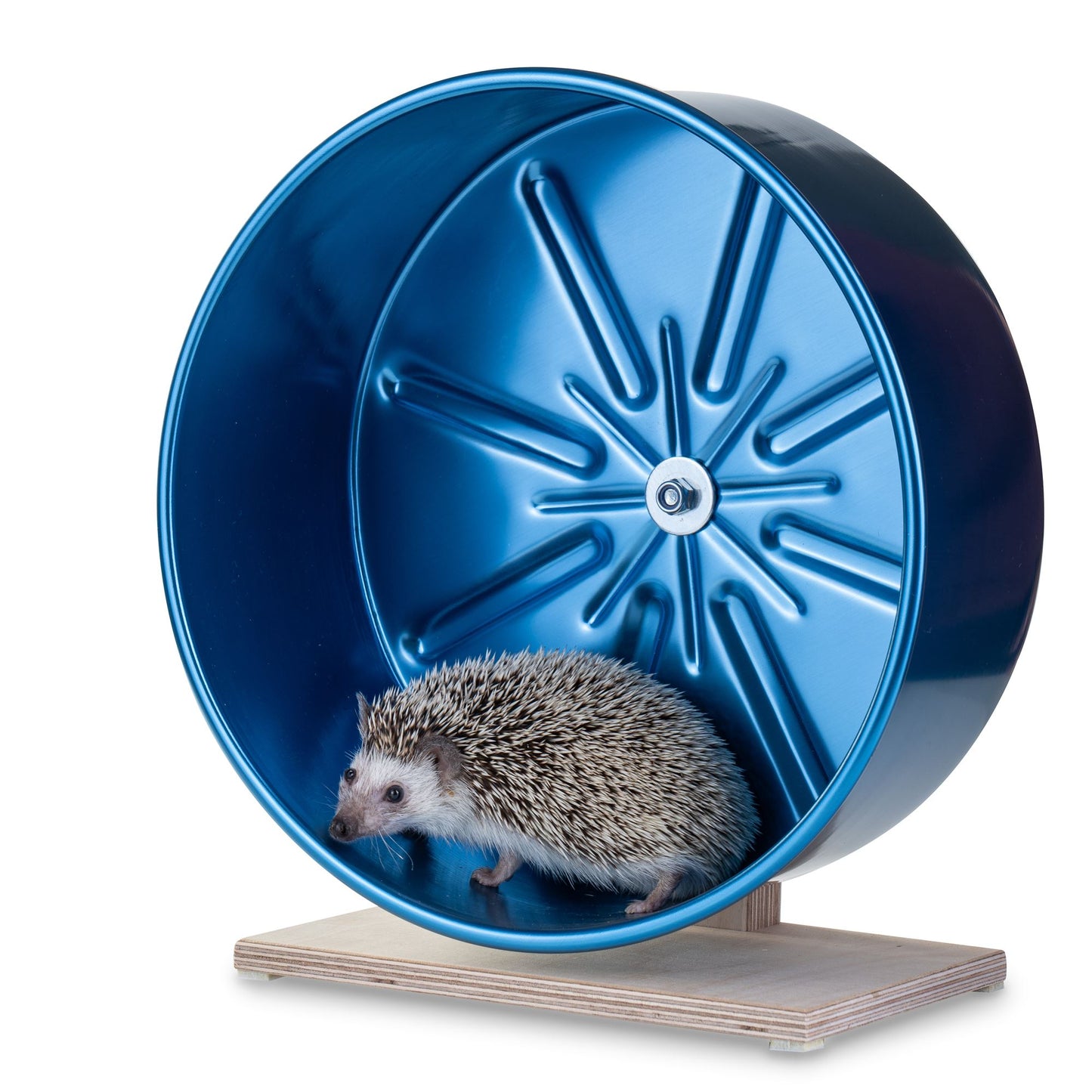 Aluminum Running Wheel for Hedgehogs – Silent, Durable, and Safe Exercise Solution