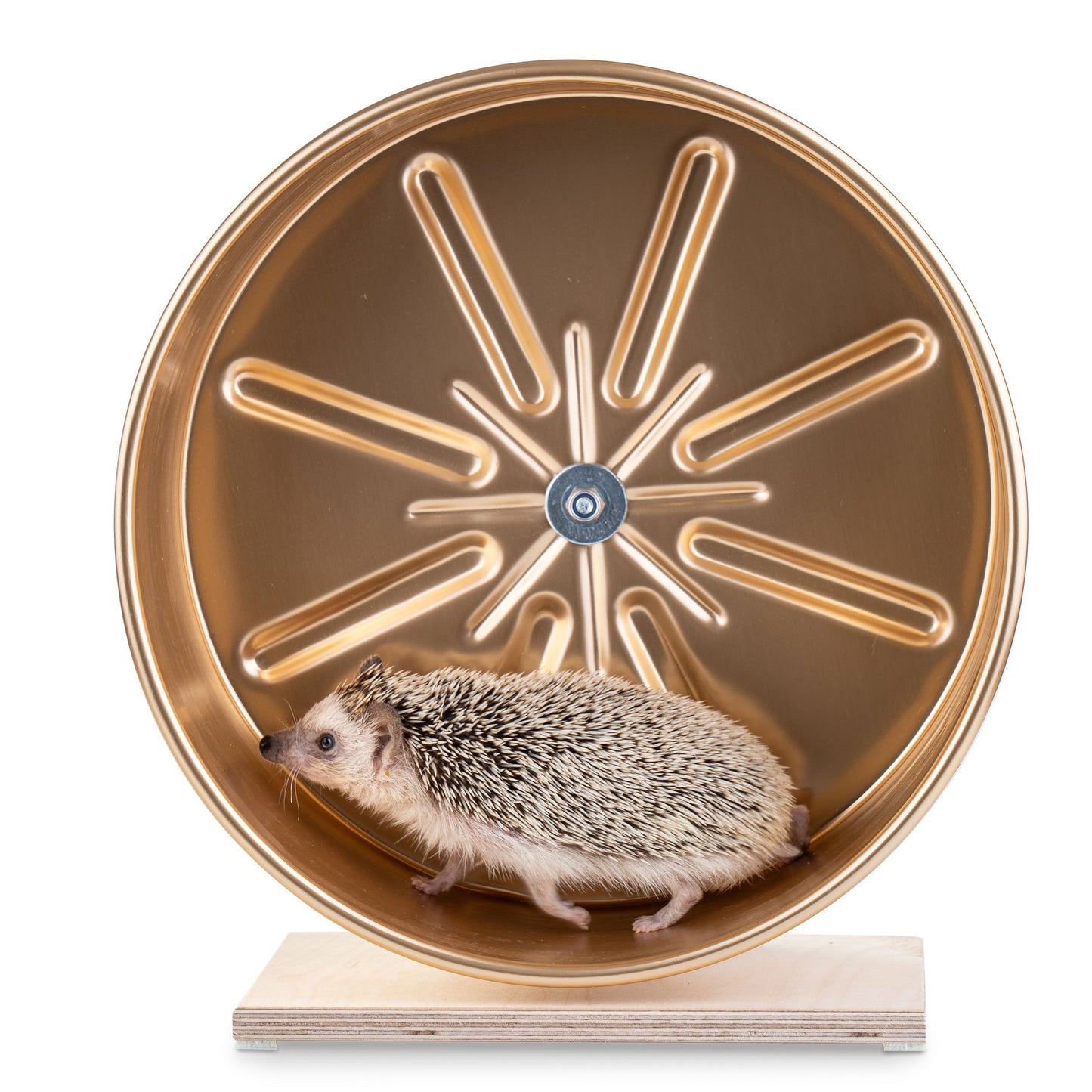 Aluminum Running Wheel for Hedgehogs – Silent, Durable, and Safe Exercise Solution