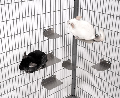 Chinchilla sitting on cooling stainless steel ledge by AMIDA Craft